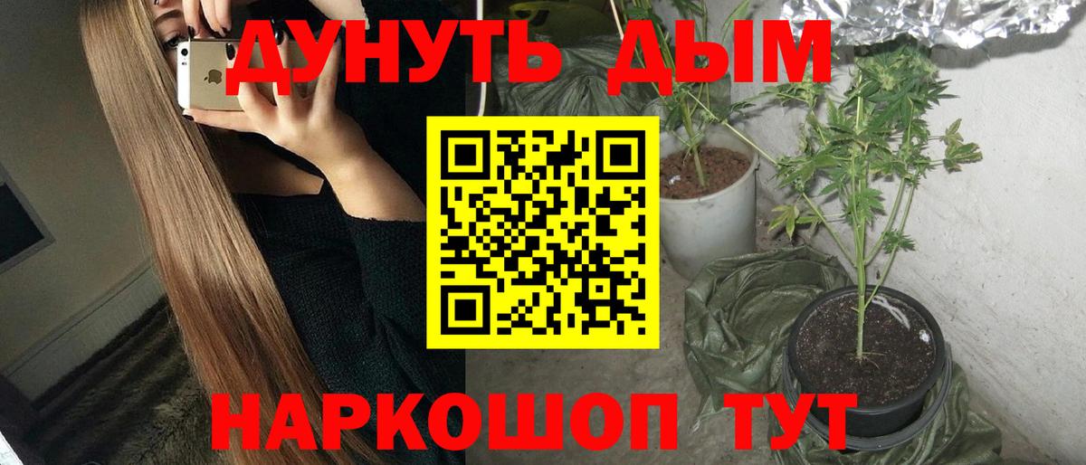 Бошки марихуана OG Kush Тайшет